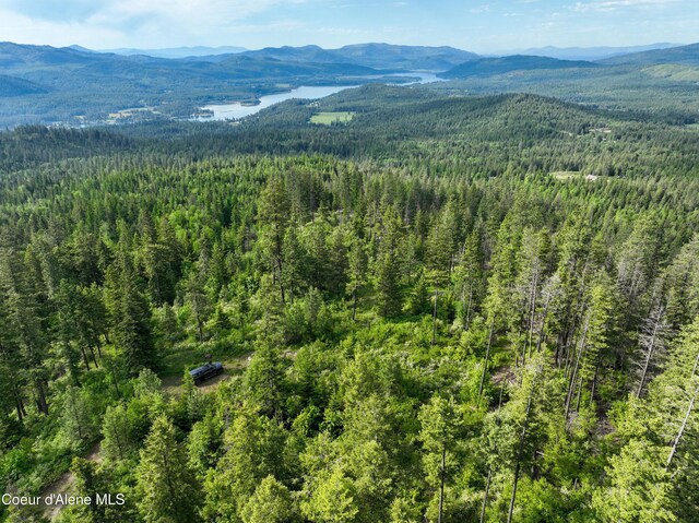 NKA Spring Creek, Sandpoint, ID 83864 - photo 10