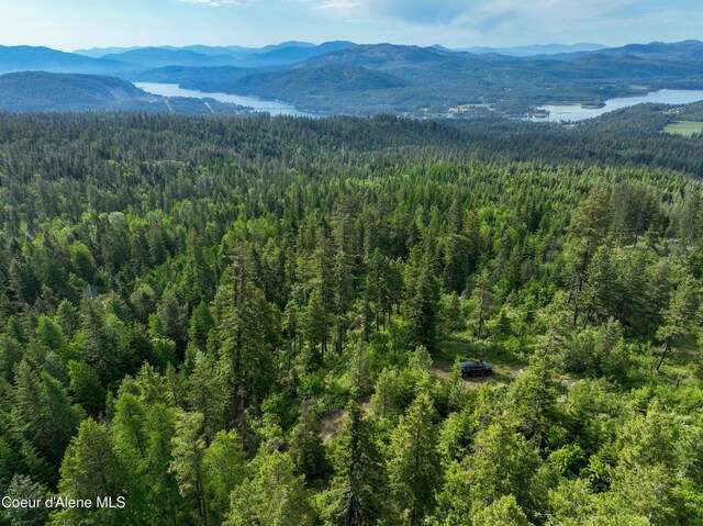 NKA Spring Creek, Sandpoint, ID 83864 - photo 11