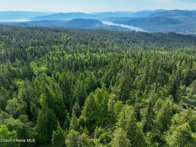 NKA Spring Creek, Sandpoint, ID 83864 - photo 12