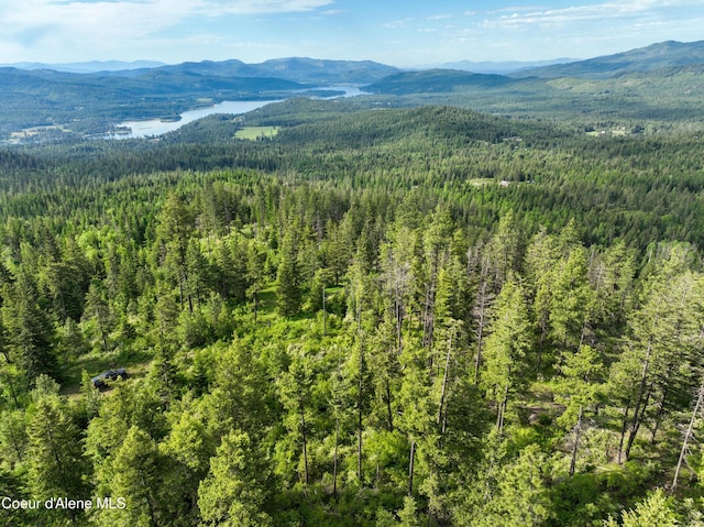 NKA Spring Creek, Sandpoint, ID 83864 - photo 14