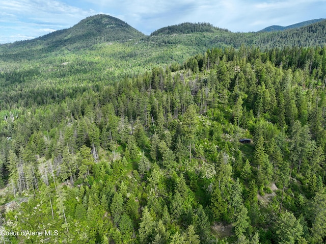 NKA Spring Creek, Sandpoint, ID 83864 - photo 15