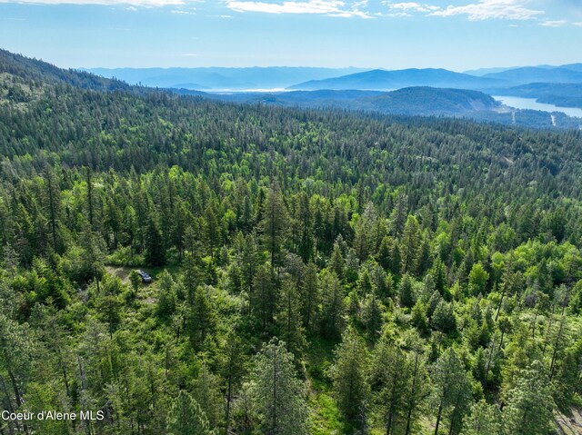 NKA Spring Creek, Sandpoint, ID 83864 - photo 19