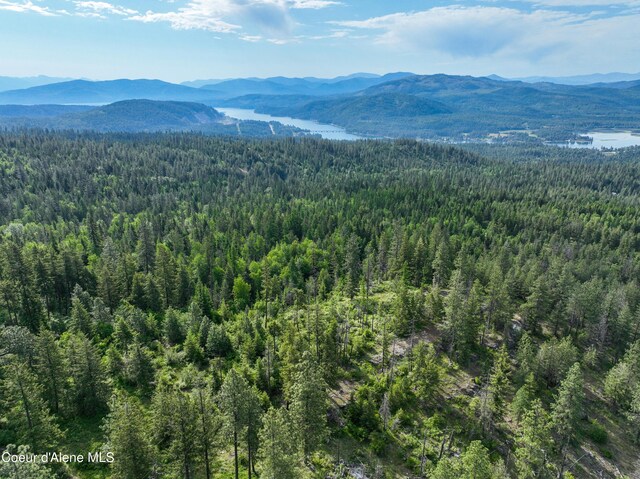 NKA Spring Creek, Sandpoint, ID 83864 - photo 20