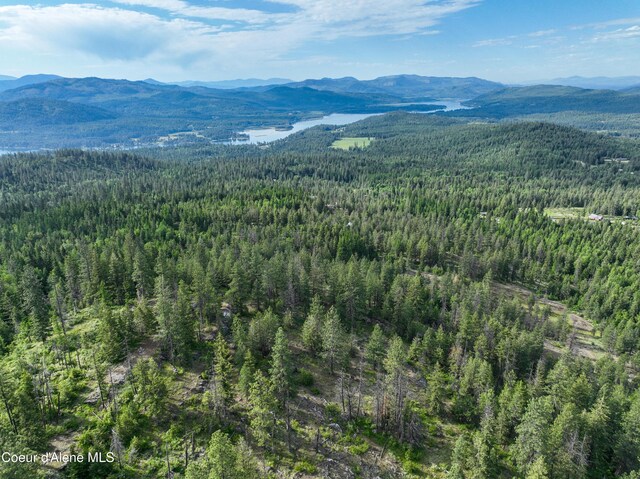NKA Spring Creek, Sandpoint, ID 83864 - photo 21