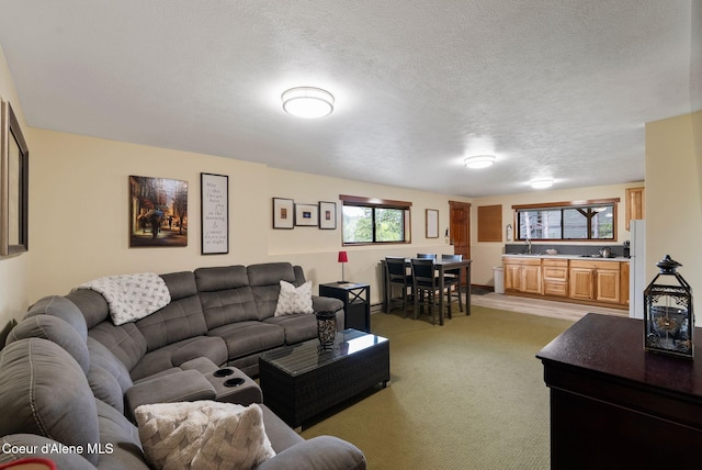 176 Swan Shores Dr, Sagle, ID 83860 - living room with light colored carpet and a textured ceiling