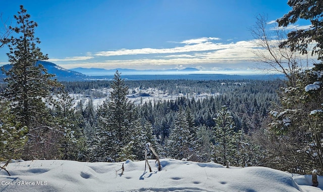 27968 N Timber Ridge Rd, Rathdrum, ID 83858 - mountain view featuring a forest
