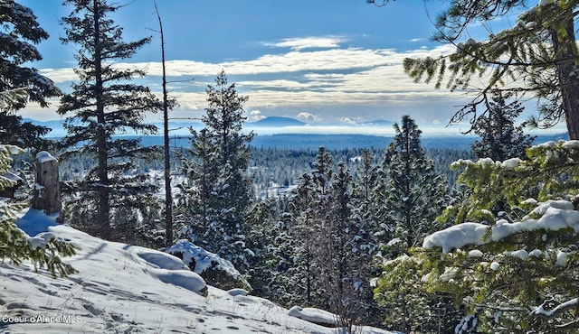 27968 N Timber Ridge Rd, Rathdrum, ID 83858 - view of mountain background with a heavily wooded area