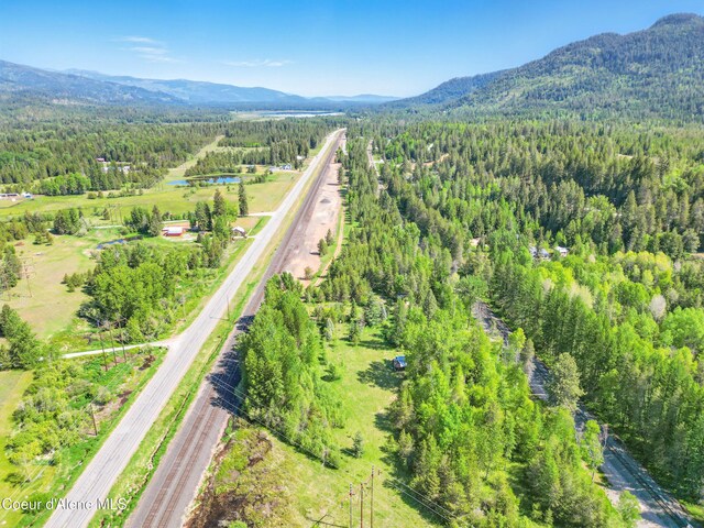 386 Elmira Rd, Sandpoint, ID 83864 - photo 6