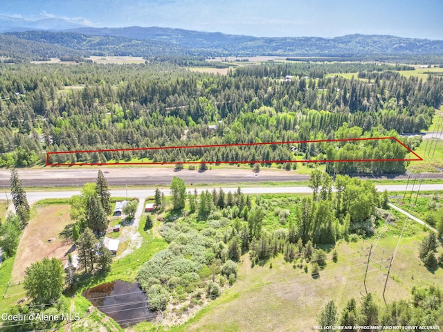 386 Elmira Rd, Sandpoint, ID 83864 - photo 7