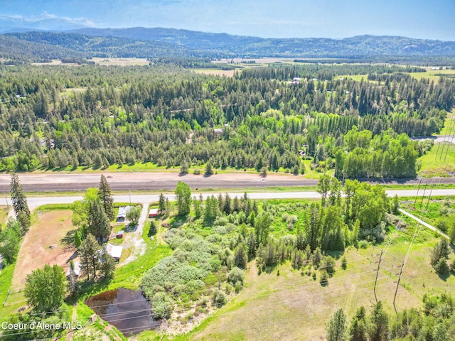 386 Elmira Rd, Sandpoint, ID 83864 - photo 8