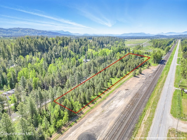 386 Elmira Rd, Sandpoint, ID 83864 - photo 9