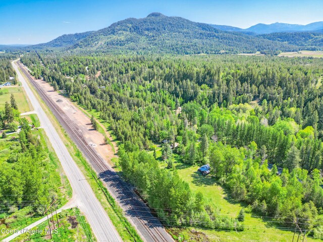 386 Elmira Rd, Sandpoint, ID 83864 - photo 11