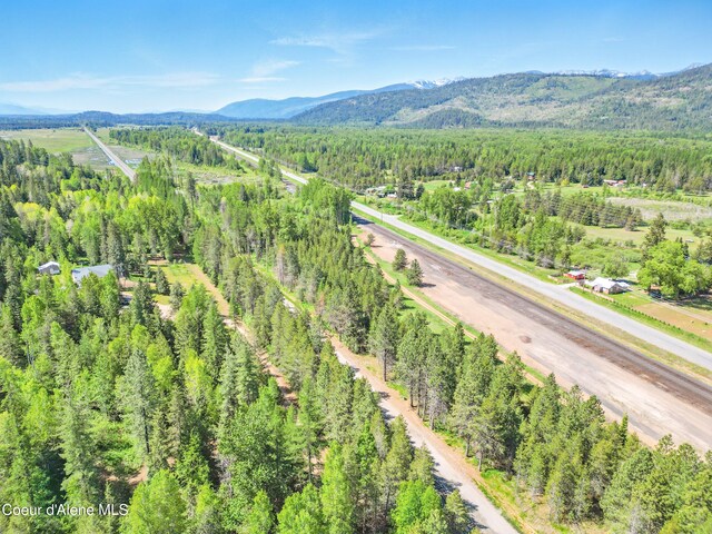 386 Elmira Rd, Sandpoint, ID 83864 - photo 15