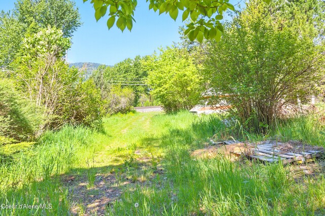 386 Elmira Rd, Sandpoint, ID 83864 - photo 19