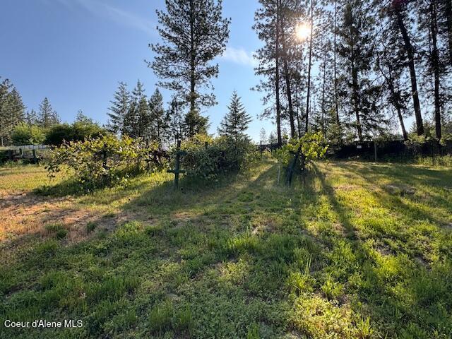 5005 W Cougar Estates Rd, Coeur Dalene, ID 83814 - view of yard