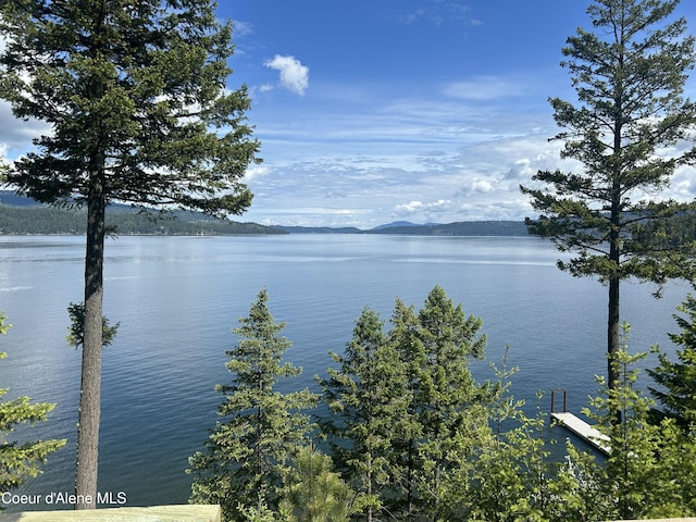 985 E Pugh Point Ct, Harrison, ID 83833