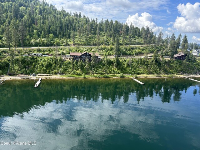 985 E Pugh Point Ct, Harrison, ID 83833
