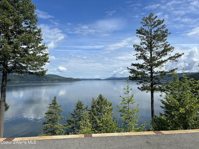 985 E Pugh Point Ct, Harrison, ID 83833