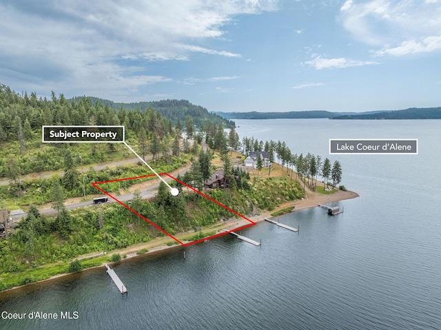 985 E Pugh Point Ct, Harrison, ID 83833