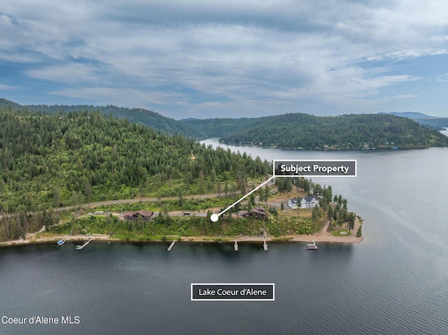 985 E Pugh Point Ct, Harrison, ID 83833