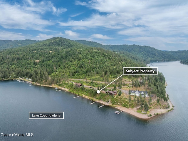 985 E Pugh Point Ct, Harrison, ID 83833