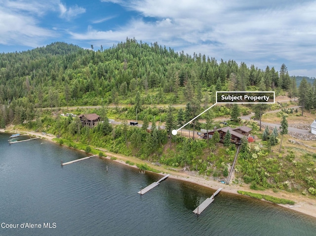 985 E Pugh Point Ct, Harrison, ID 83833