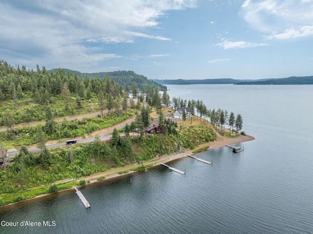 985 E Pugh Point Ct, Harrison, ID 83833