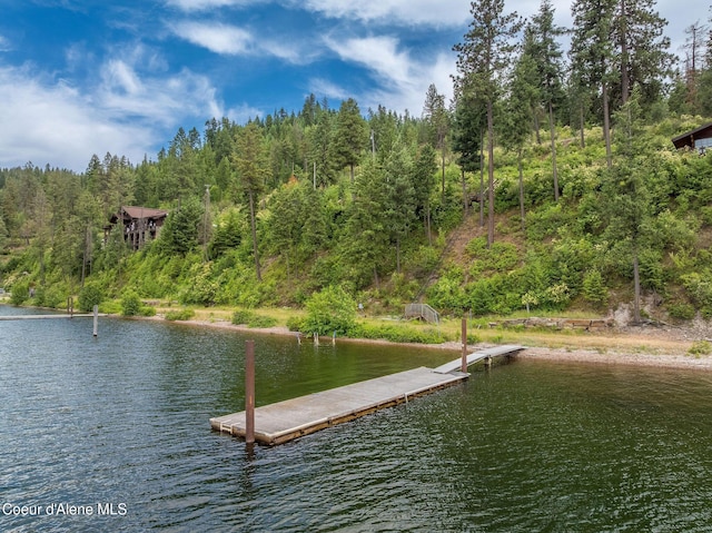 985 E Pugh Point Ct, Harrison, ID 83833