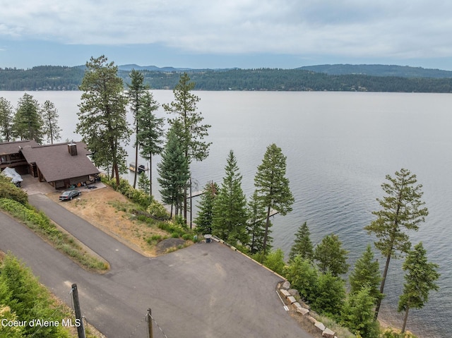 985 E Pugh Point Ct, Harrison, ID 83833