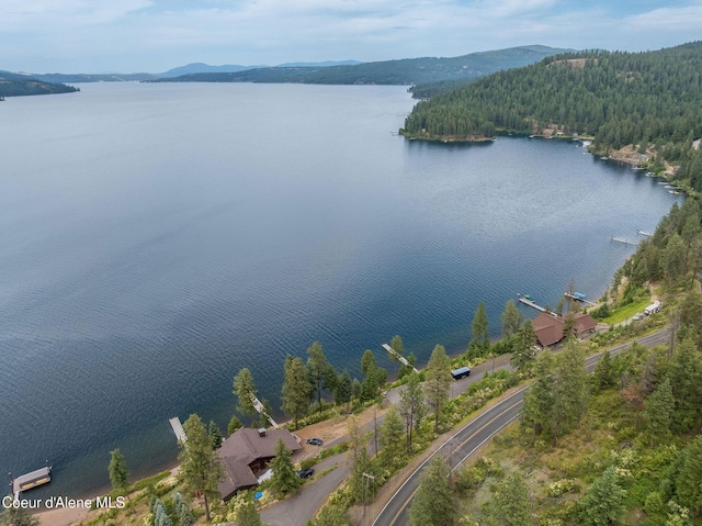 985 E Pugh Point Ct, Harrison, ID 83833