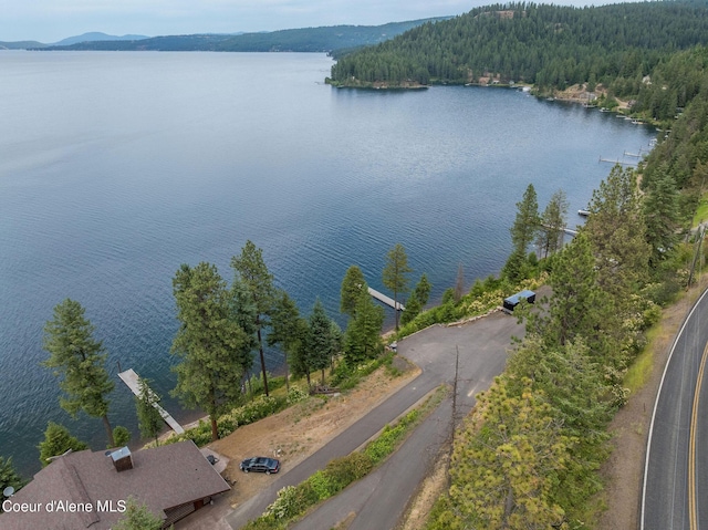 985 E Pugh Point Ct, Harrison, ID 83833