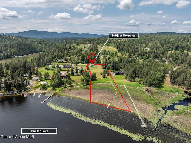 13744 N Hauser Lake Rd, Hauser, ID 83854 - aerial view of property's location with a forest, a water and mountain view, and property parcel outlined