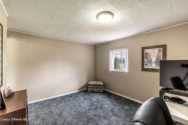 13744 N Hauser Lake Rd, Hauser, ID 83854 - office space with carpet, ornamental molding, and baseboards