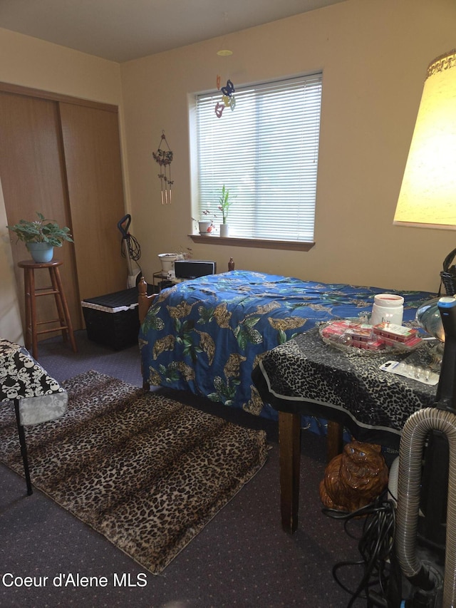 2814 N 9th St, Coeur Dalene, ID 83814 - bedroom with carpet floors and a closet