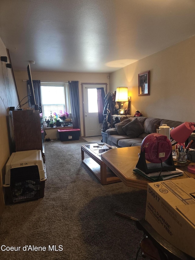 2814 N 9th St, Coeur Dalene, ID 83814 - living room with carpet