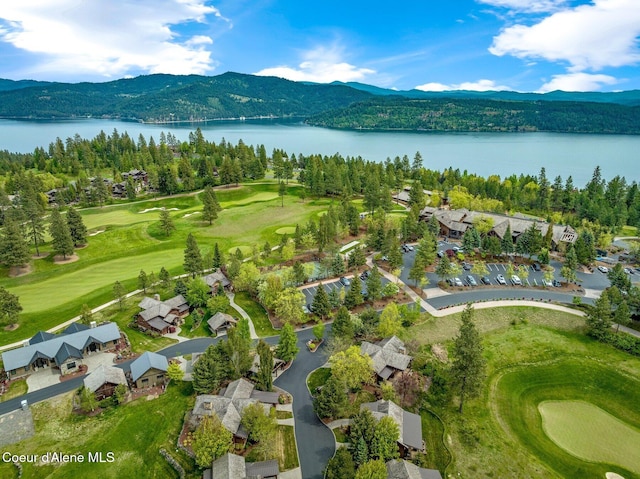 18046 S Kimberlite Dr, Coeur Dalene, ID 83814 - photo 39