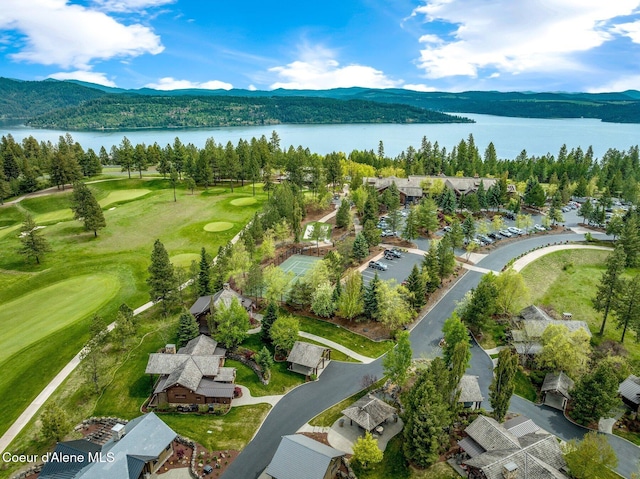18046 S Kimberlite Dr, Coeur Dalene, ID 83814 - photo 38