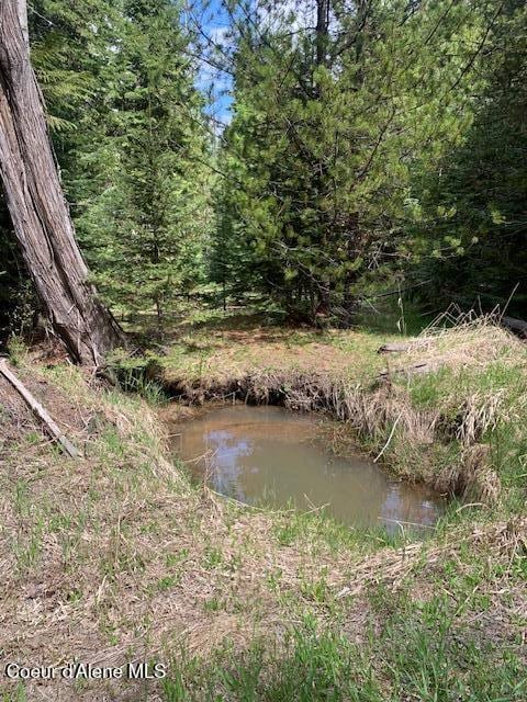 Rowe Ln, Fernwood, ID 83830