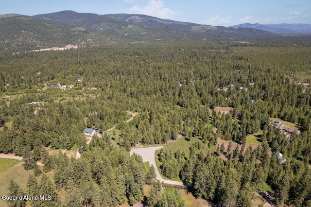 167 Park Dr, Spirit Lake, ID 83869 - photo 9