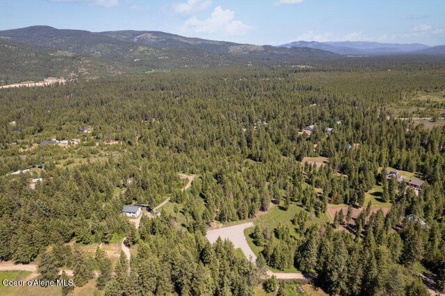 167 Park Dr, Spirit Lake, ID 83869 - photo 11