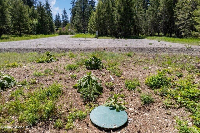167 Park Dr, Spirit Lake, ID 83869 - photo 5