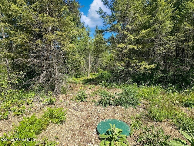 167 Park Dr, Spirit Lake, ID 83869 - photo 22