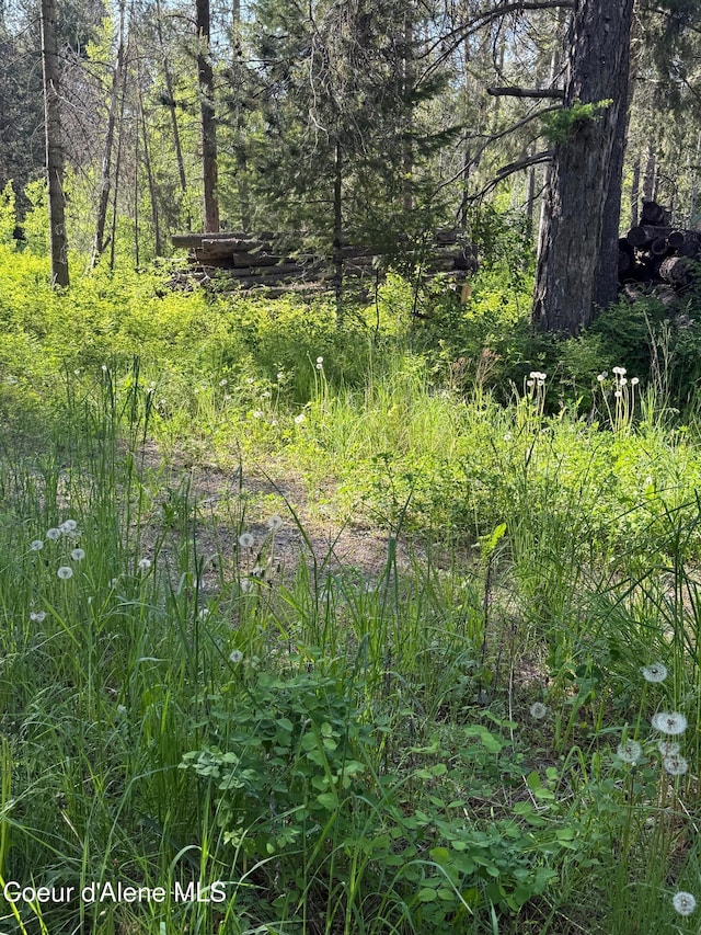 30625 Pastime St, Athol, ID 83801 - view of undeveloped land