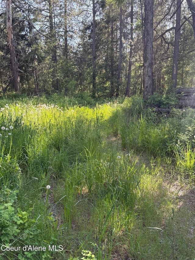 30625 Pastime St, Athol, ID 83801 - view of nature