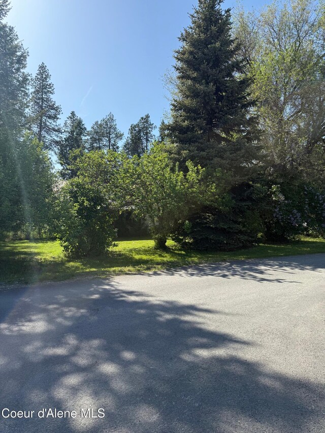 30625 Pastime St, Athol, ID 83801 - view of asphalt street