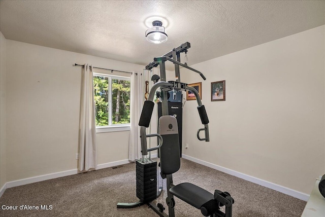 12671 E Trout Pond Rd, Athol, ID 83801 - exercise area with a textured ceiling, baseboards, and carpet floors