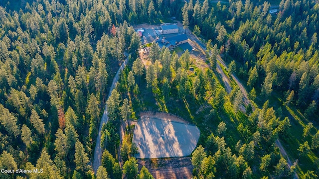 9057 W Benton Way, Coeur Dalene, ID 83814 - view of property location featuring property boundaries highlighted and a forest