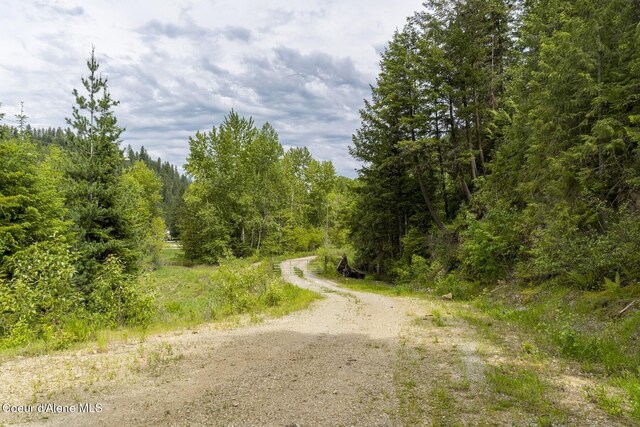 NKA Coeur Dalene River Rd, Kingston, ID 83839 - photo 4