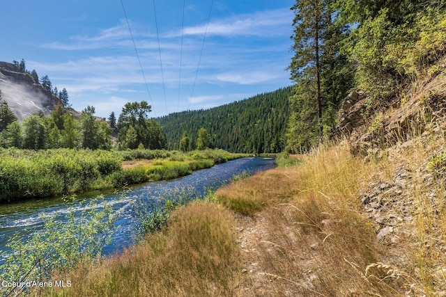 NKA Coeur Dalene River Rd, Kingston, ID 83839 - photo 5