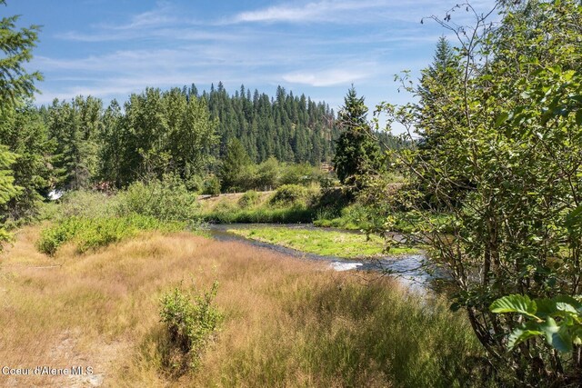 NKA Coeur Dalene River Rd, Kingston, ID 83839 - photo 9